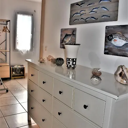 Sur Les Hauteurs De Port-vendres *